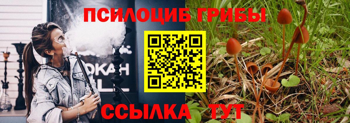 Галлюциногенные грибы мицелий Менделеевск