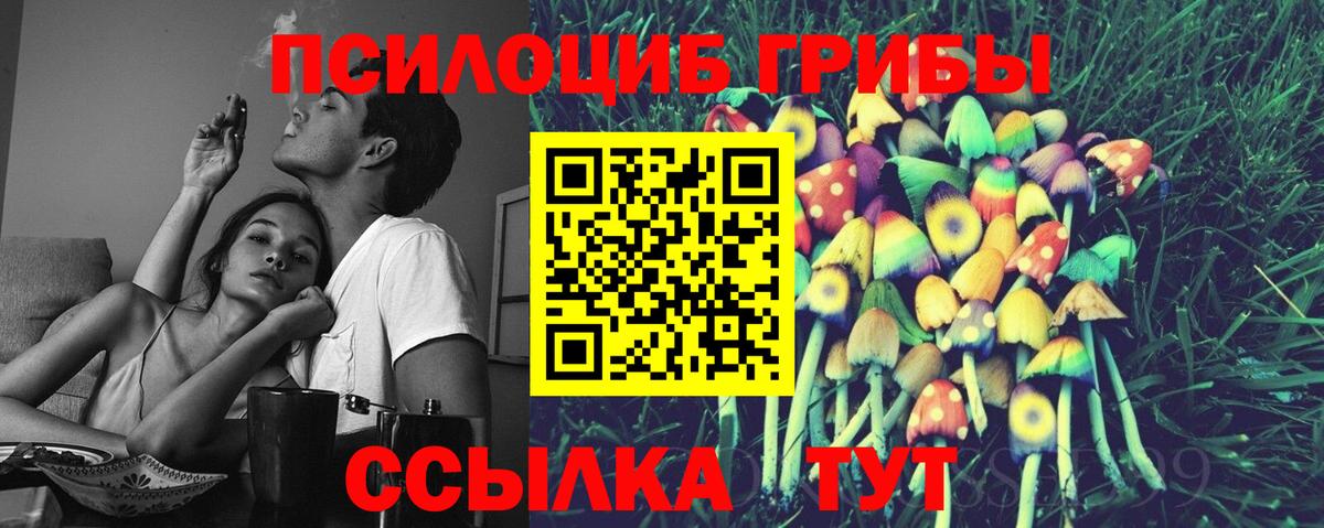 Менделеевск  Галлюциногенные грибы мицелий  Вход с VPN  Галлюциногенные грибы ЛСД 