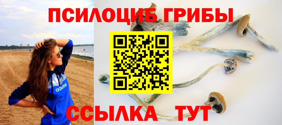 A PVP Менделеевск